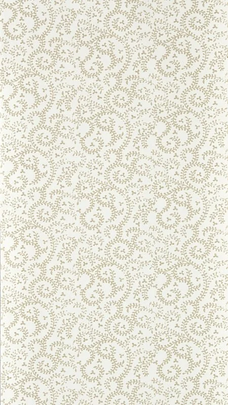 Buta  - Col. Natural