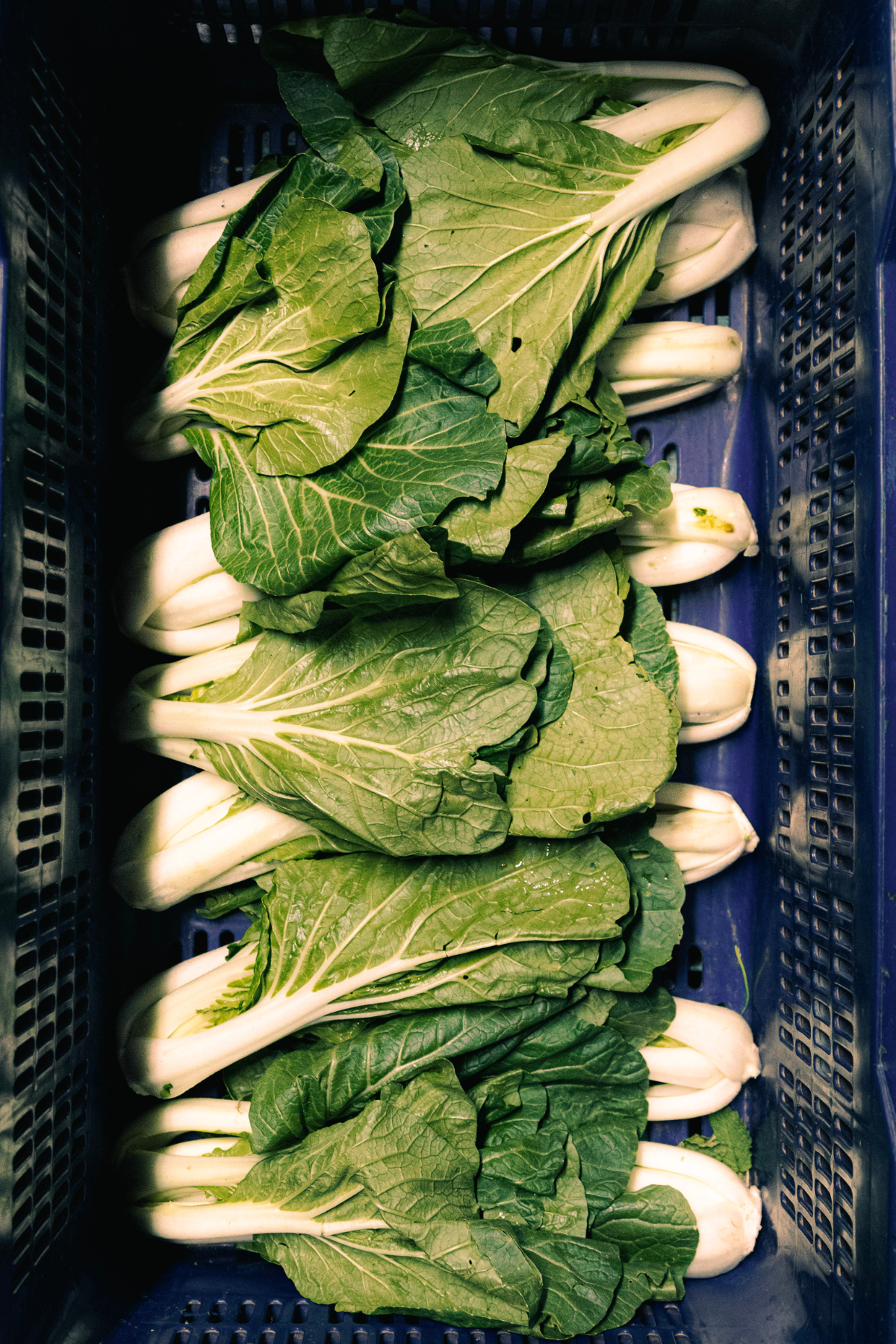 Website Portfolio Template (3).png