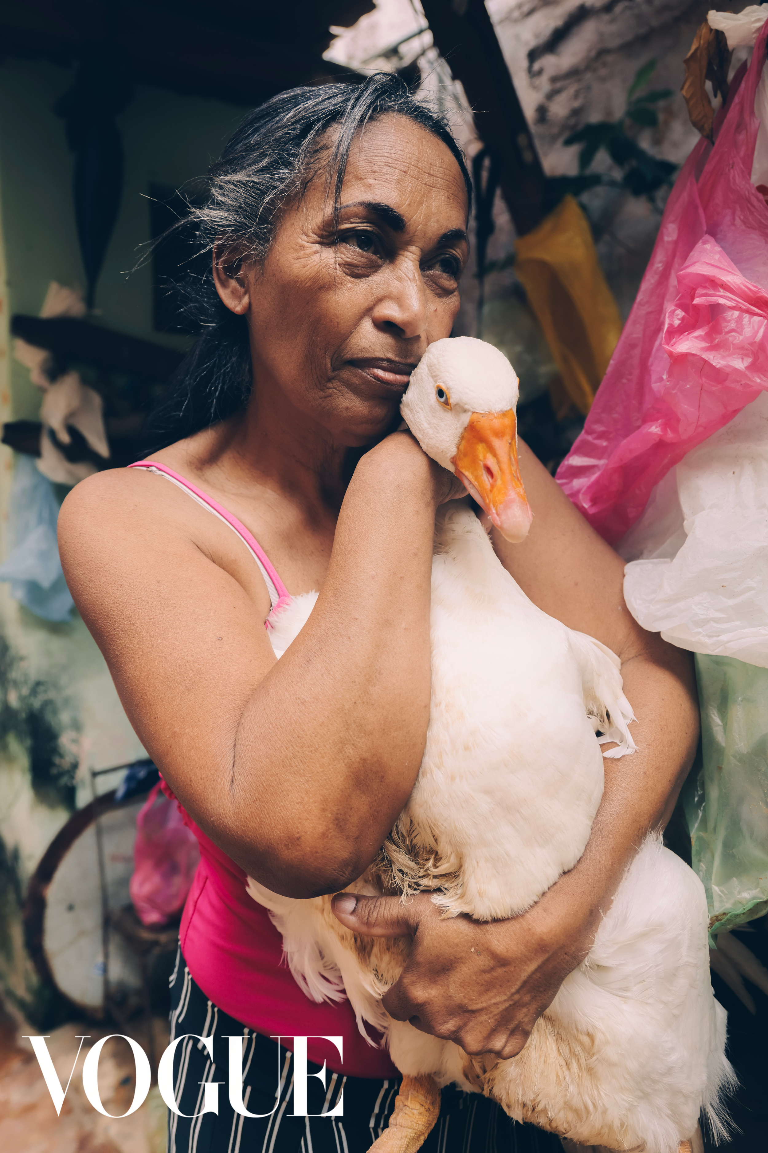 website images new (2).png