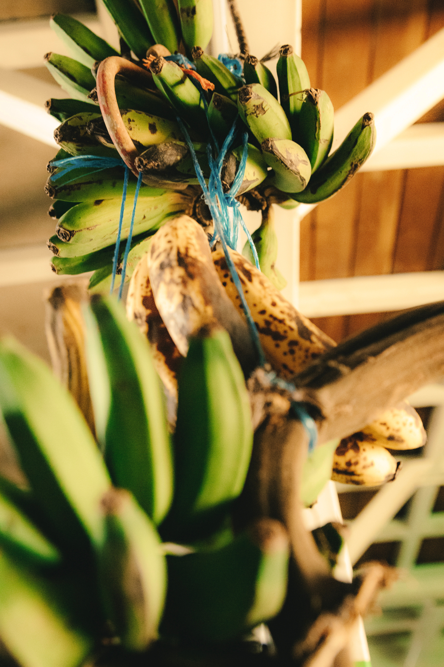 Website Portfolio Template (2).png