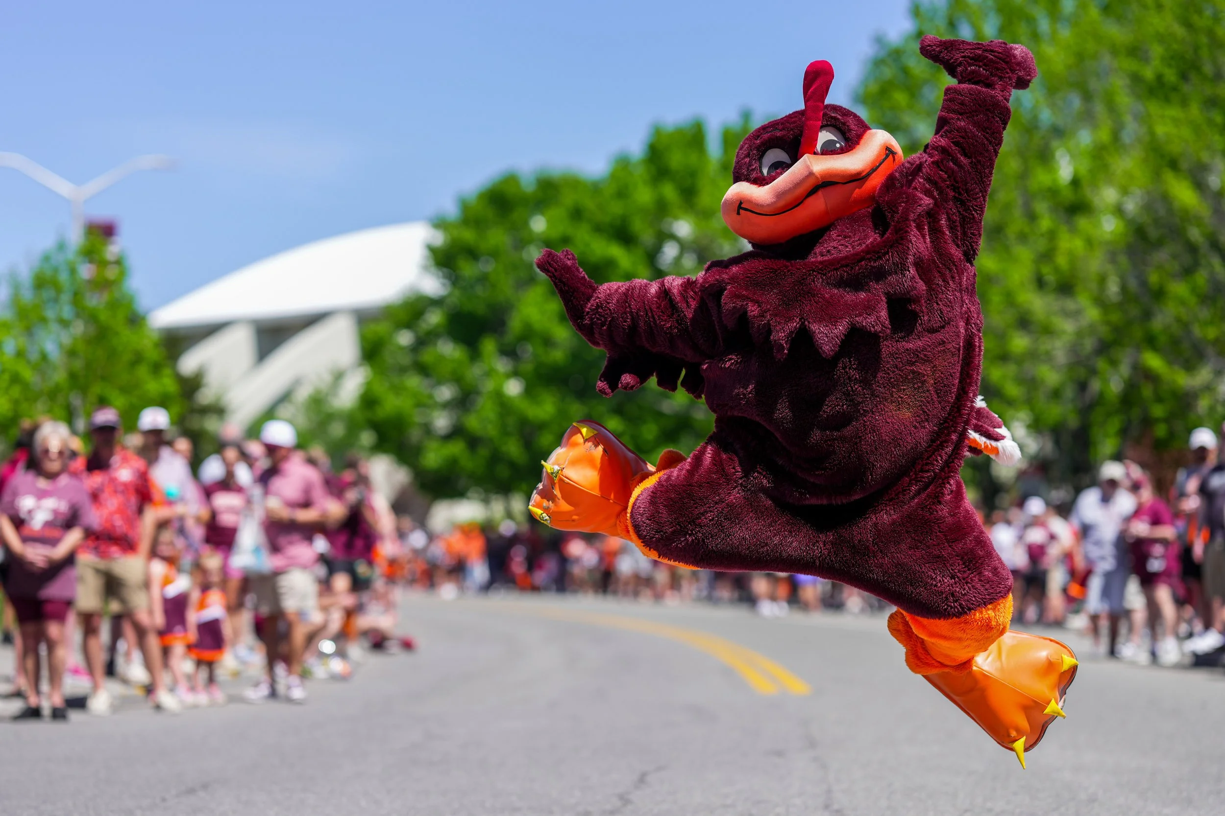The Hokie Bird, Blacksburg VA, 2026