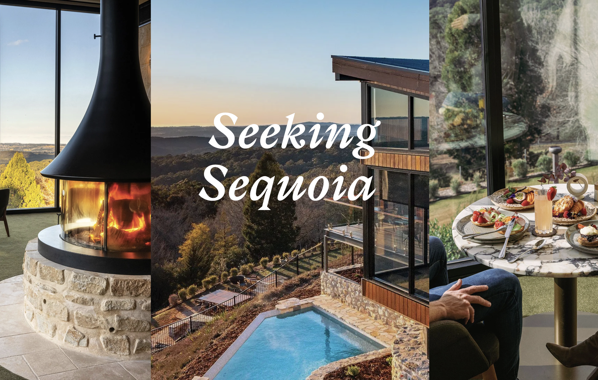 Journey Beyond - Seeking Sequoia