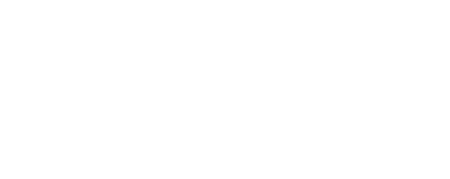 Dan Pinelli