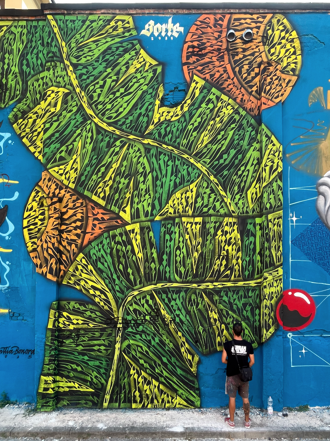 Schermata 2026-03-04 alle 16.51.40.png