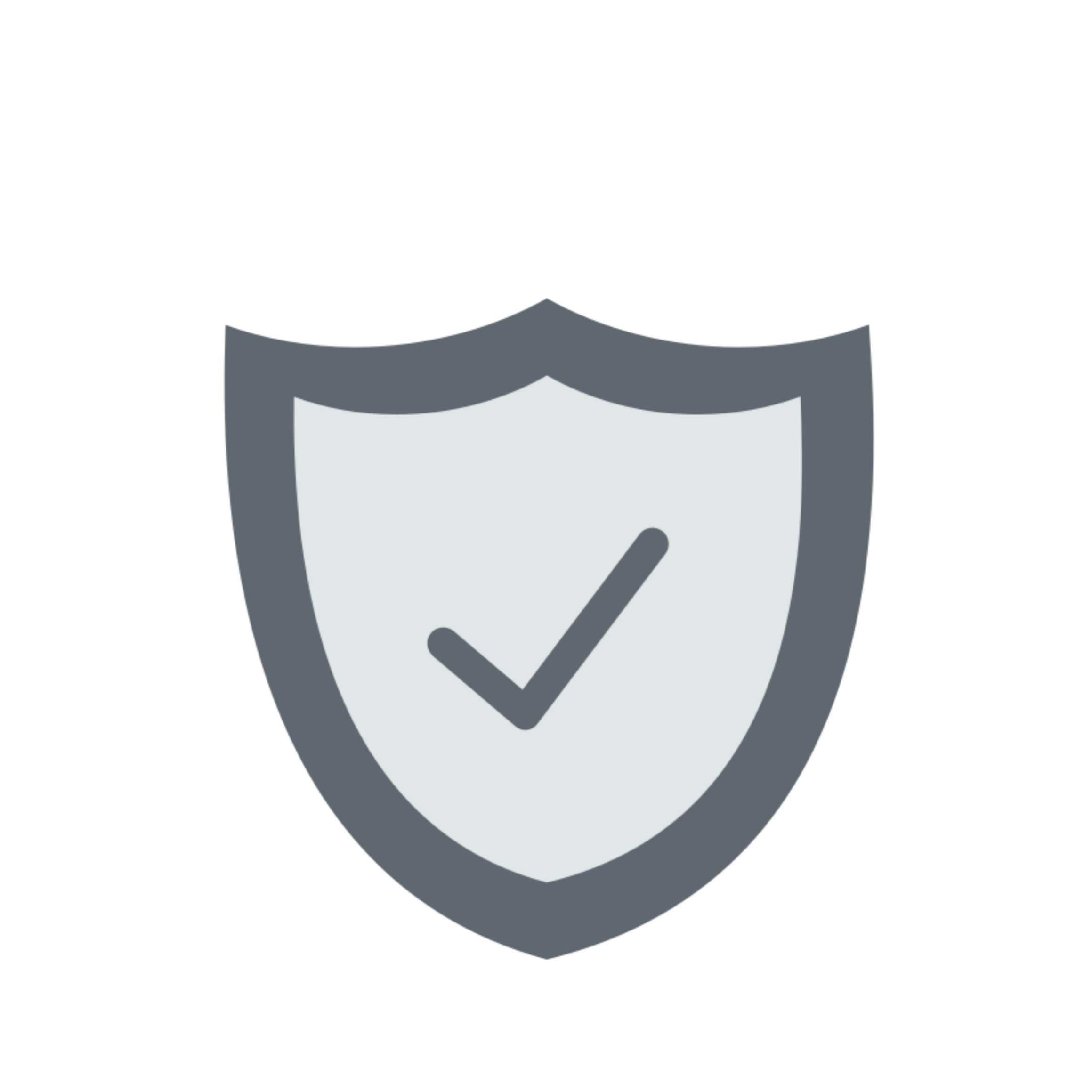 An icon of a shield with a checkmark, representing security or protection.