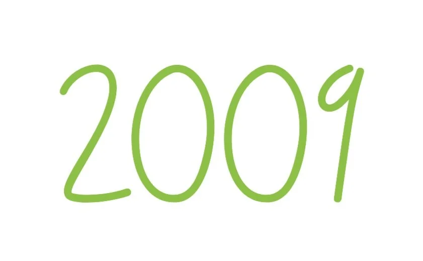 Green handwritten numbers reading 2009 on a white background.