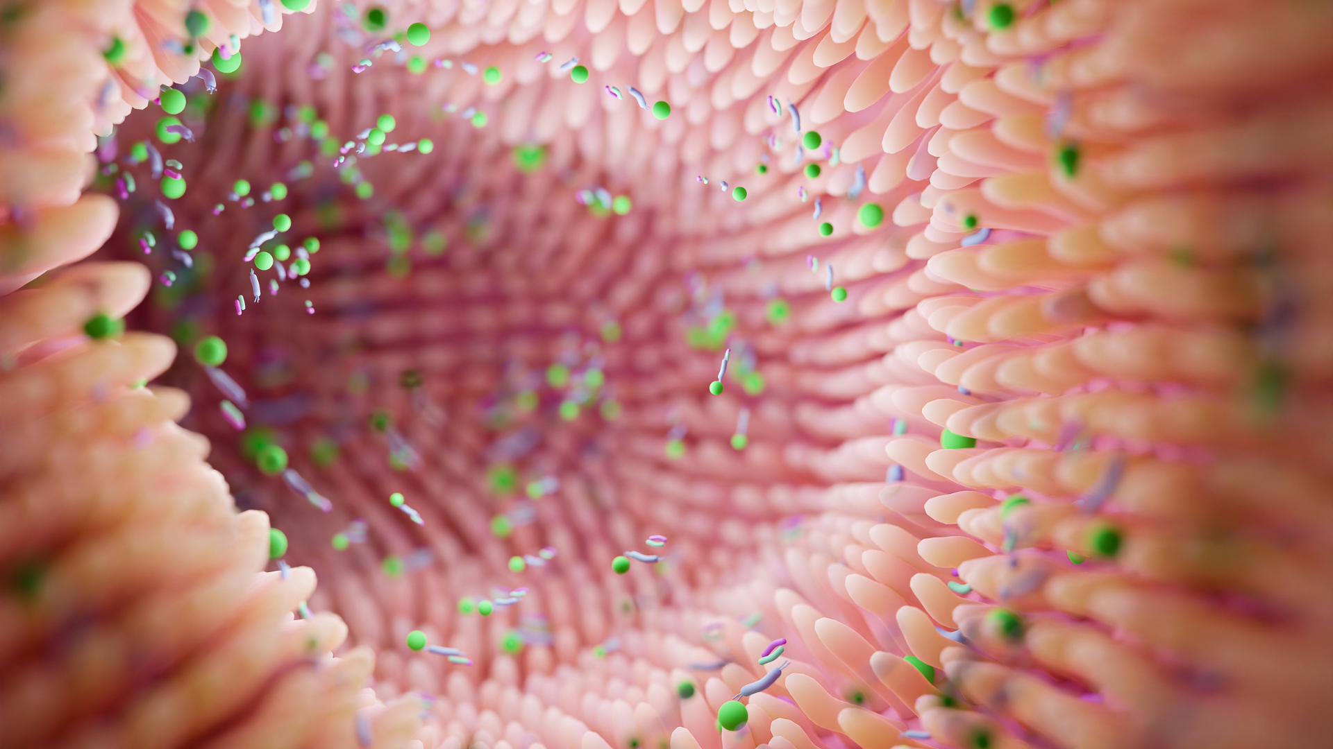 MICROBIOTA INTESTINALE: UN COMPLESSO ECOSISTEMA
