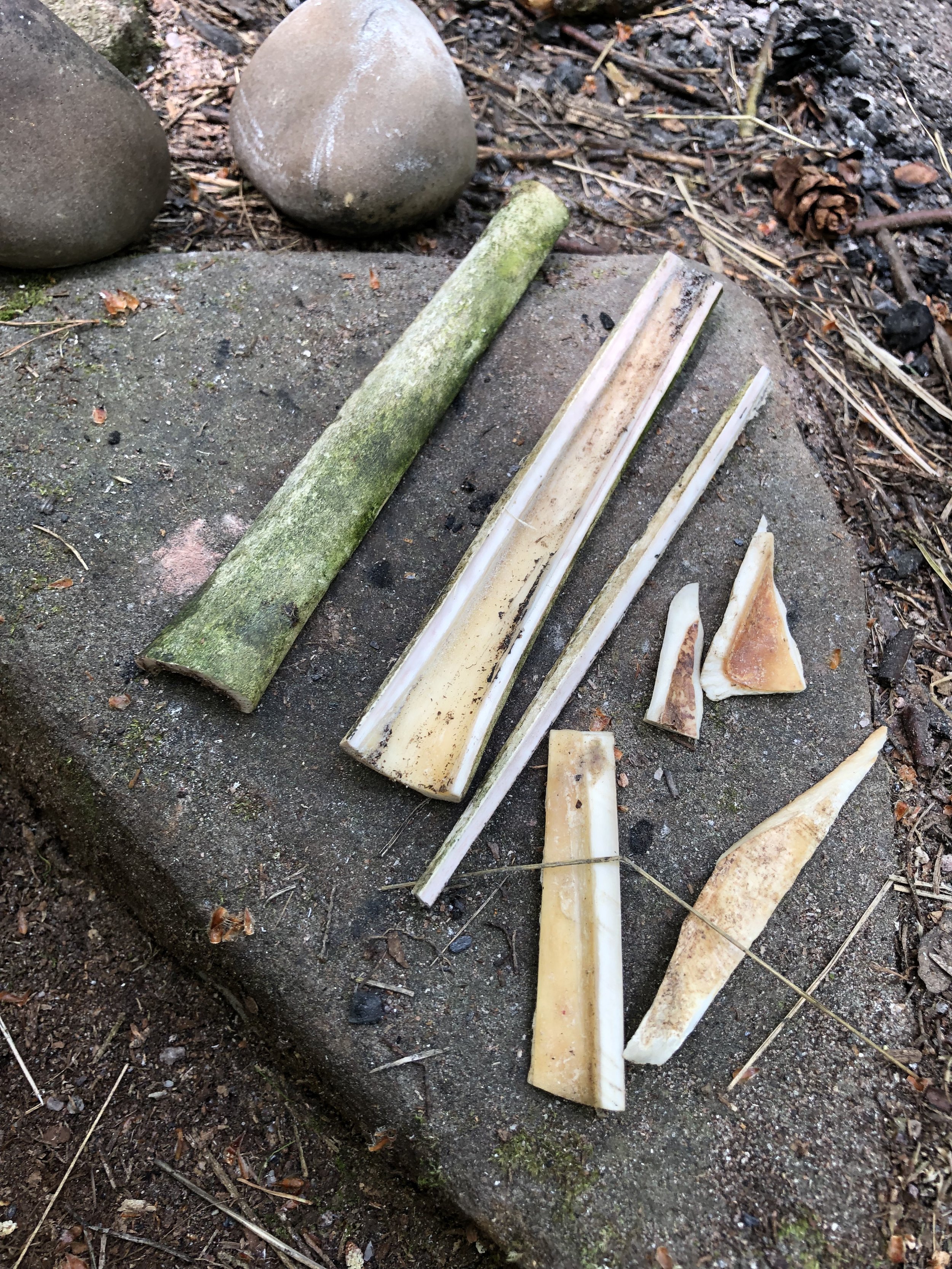 image2 (3).jpeg