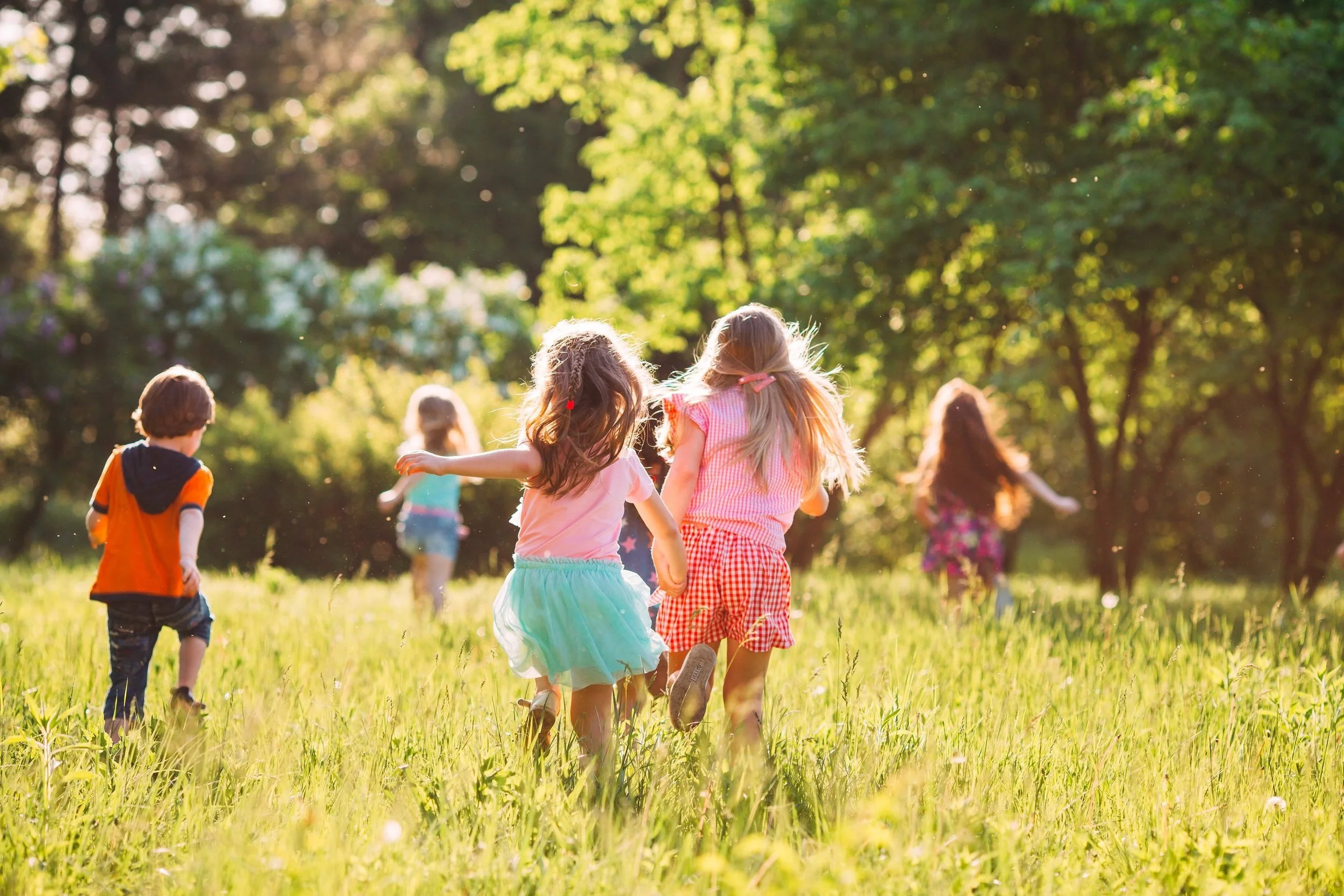 The Key Clinic, Unlocking your childs potential image