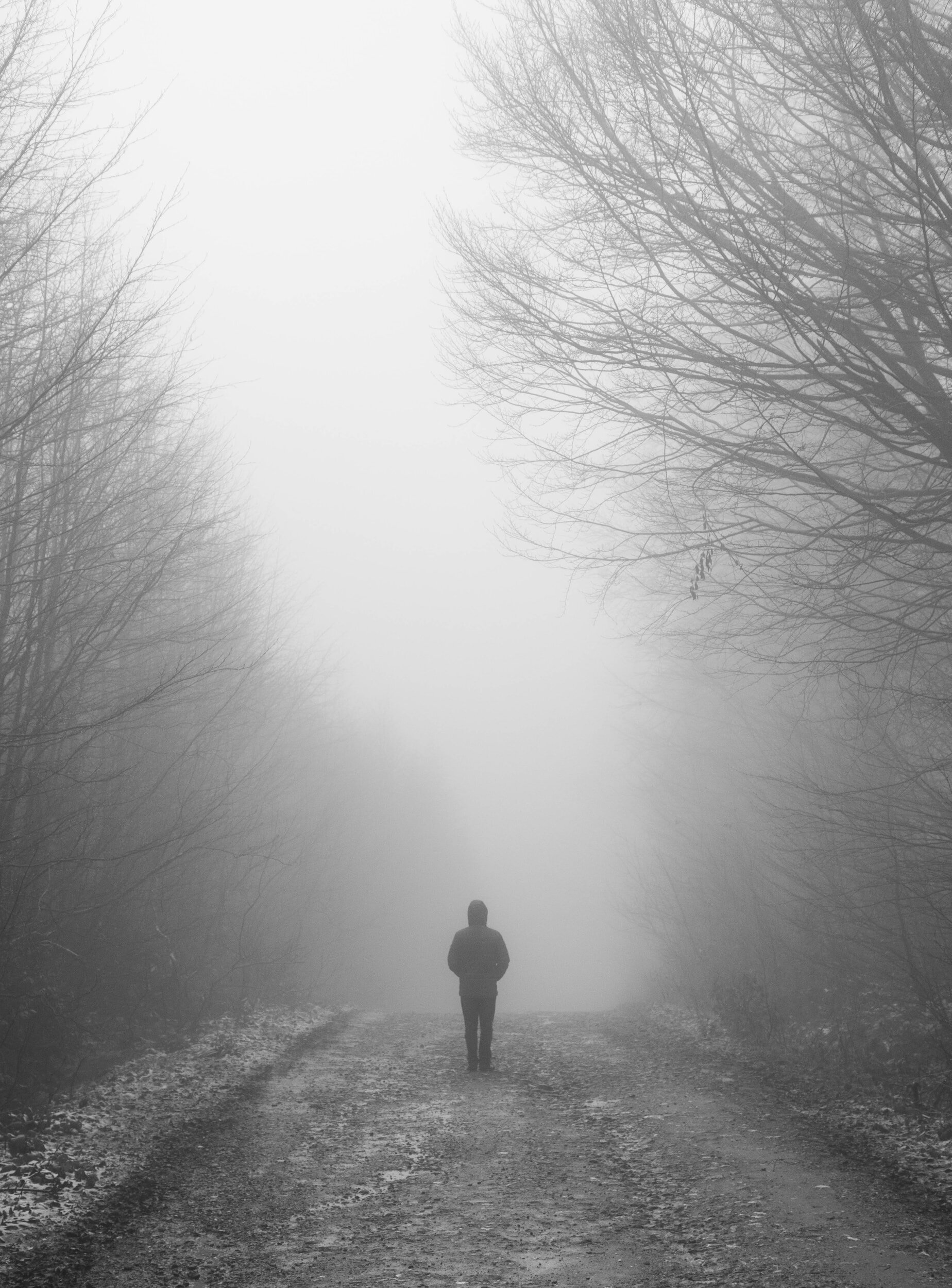 Boost Brain Power & Avoid The Fog.