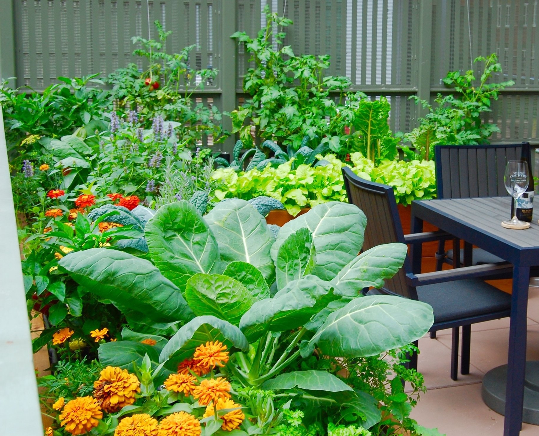 Home Gardening  Ideas for Vegetable, Herb Gardens & More - HomeAdvisor