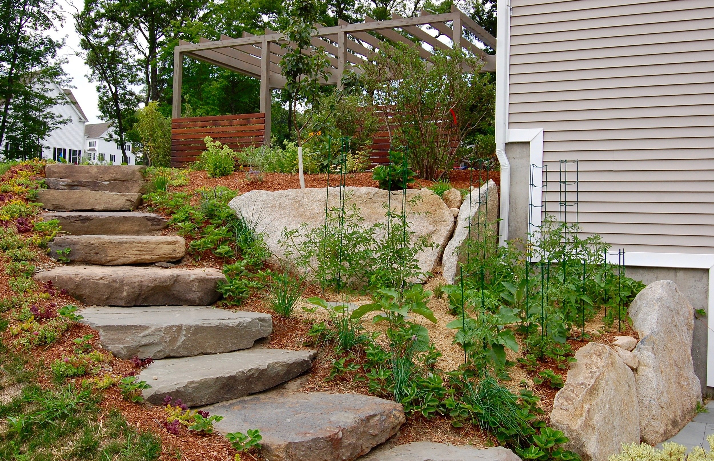Natural+Stone+Steps,+Grape+Arbor,+Edible+Garden.jpg