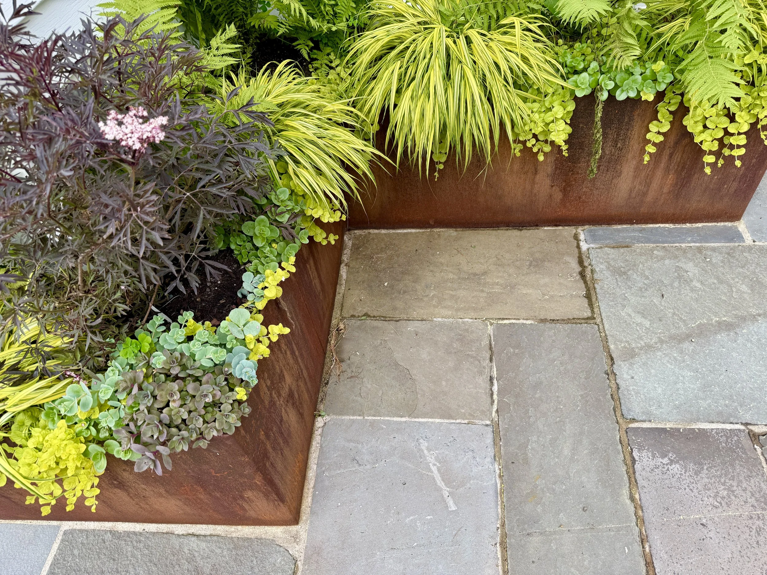 Beautiful corten steel planter, natural patina.jpg