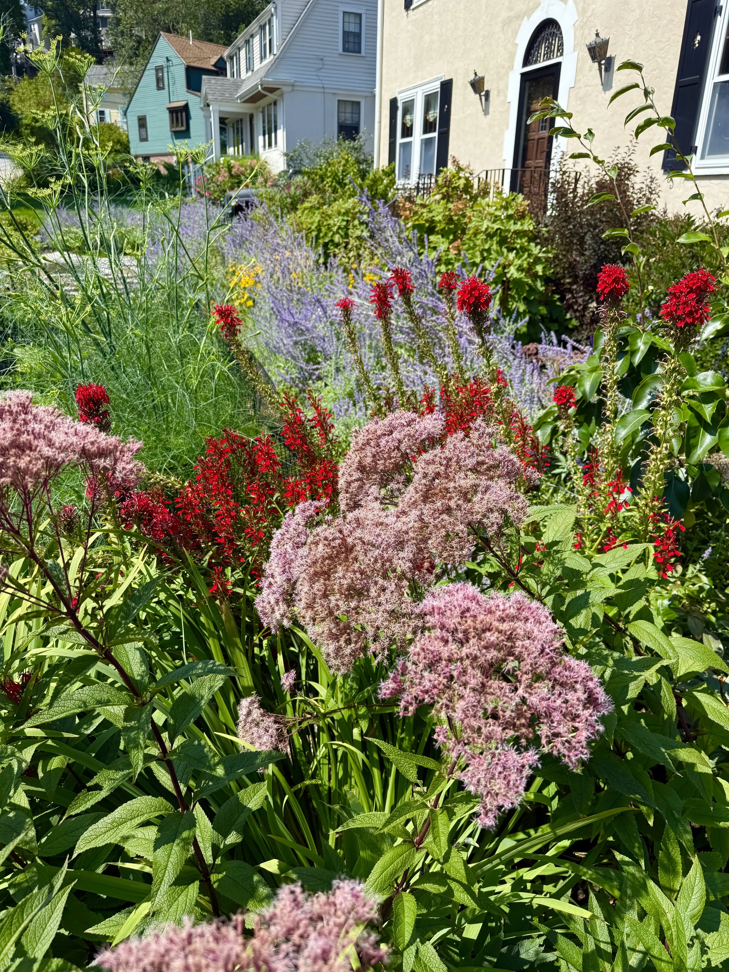 Colorful flower garden.jpeg