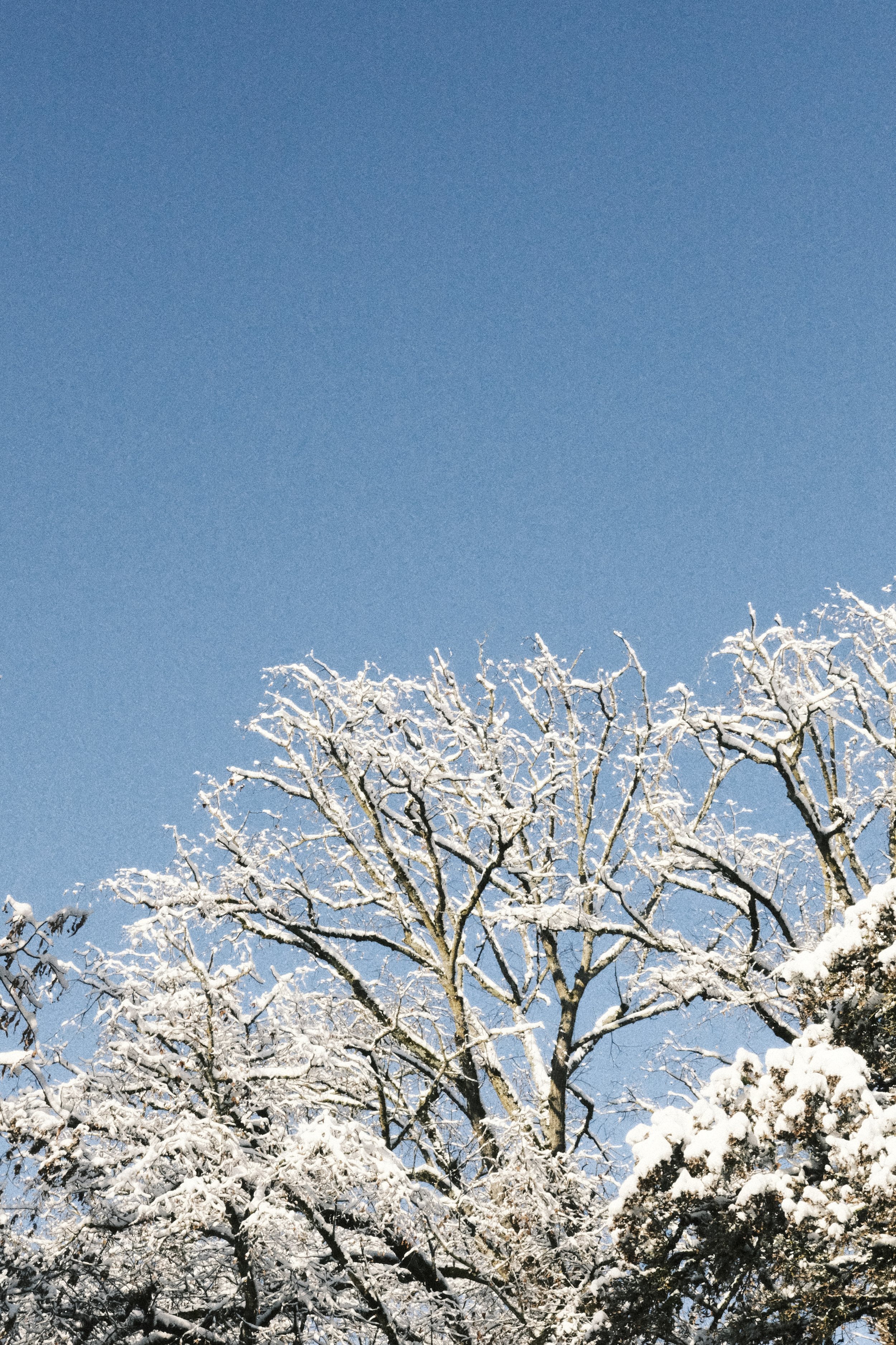 DSCF3713.jpg