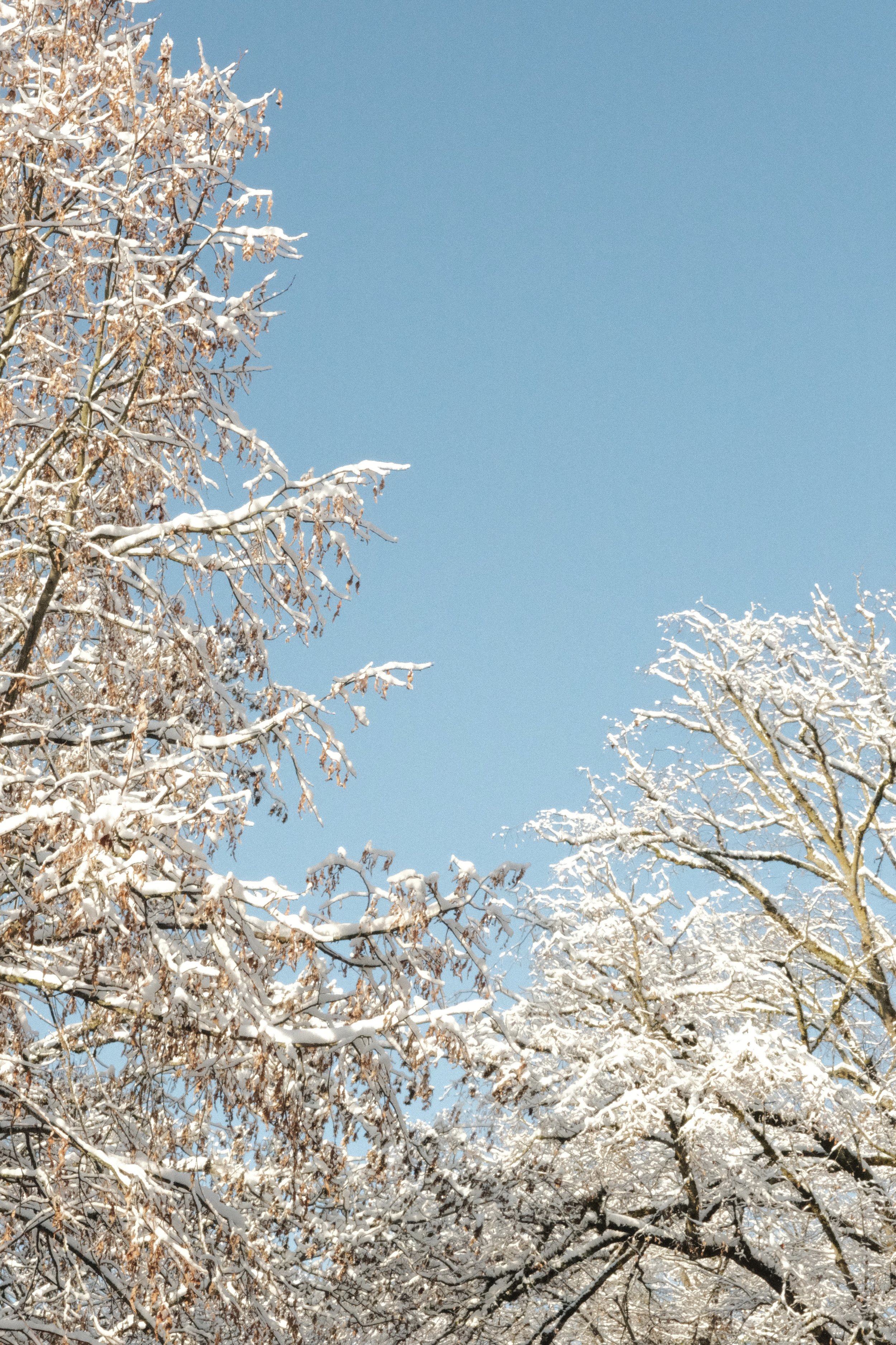 DSCF3725.jpg