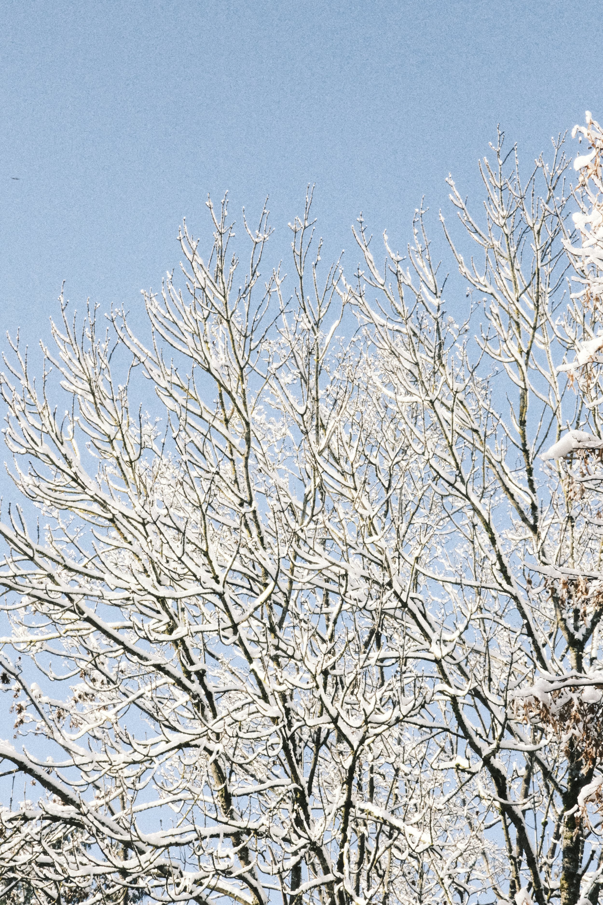 DSCF3718.jpg