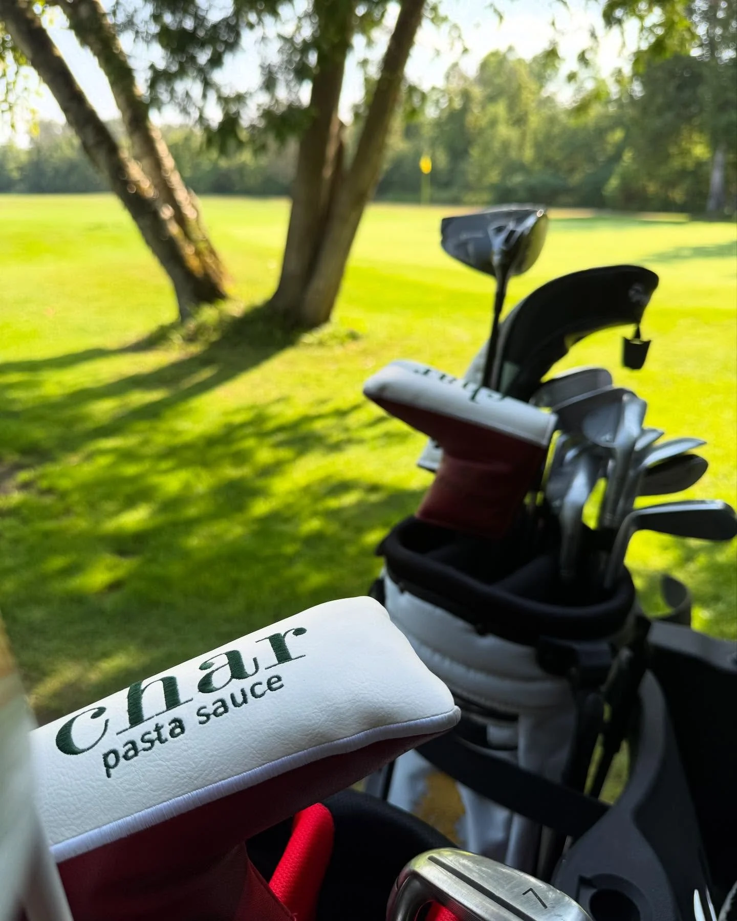 Tee it up with Char tonight! ⛳️