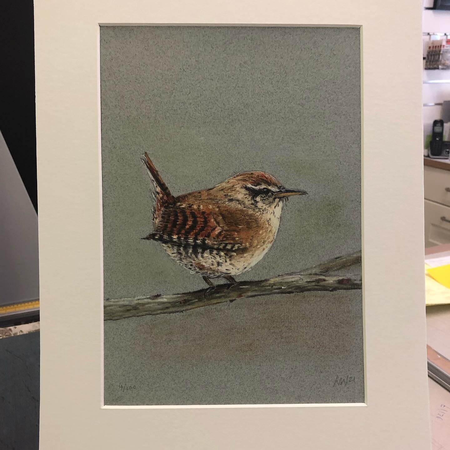 We are very excited to now be stocking the work of local wildlife artist Lizzie Webb, @applewoodart