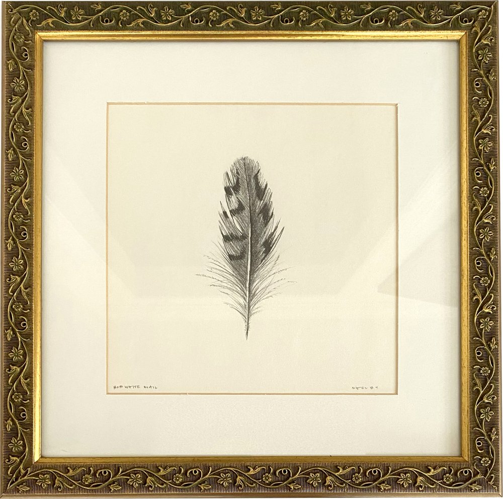 Bob White Quail Feather by Shelby Hamilton — Rachael Bell Interior