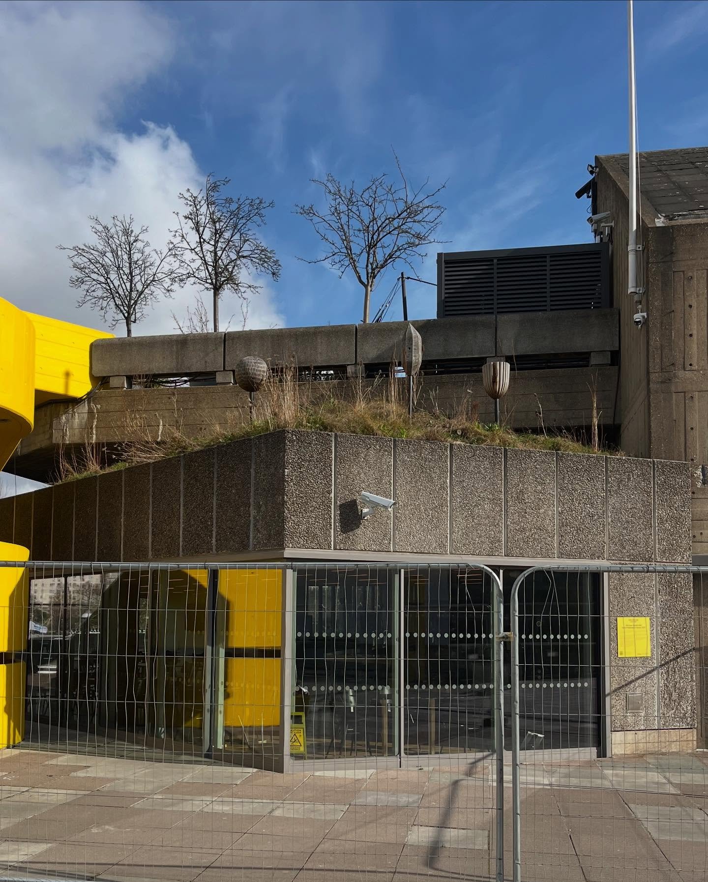 Our collaborative project Haven @southbankcentre will be in bloom for its third year this summer. We are delighted that the Southbank Centre have now extended the project to be in place until September 2027.

Eleanor @denmangould and I revisited Have