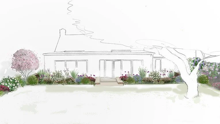 Planting design for a Saffron Walden garden.  This garden transformation included challenges that are common to many gardens:
🧱Softening an area of existing hard landscaping (in this case a large patio) with planting
🌿Appropriate planting for a n