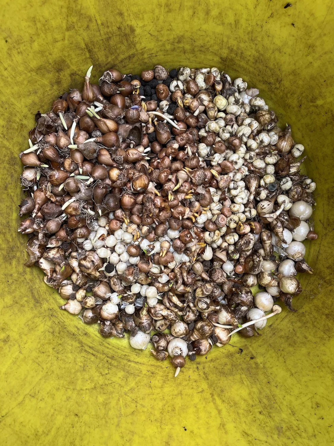 Photos by Maeve Polkinhorn