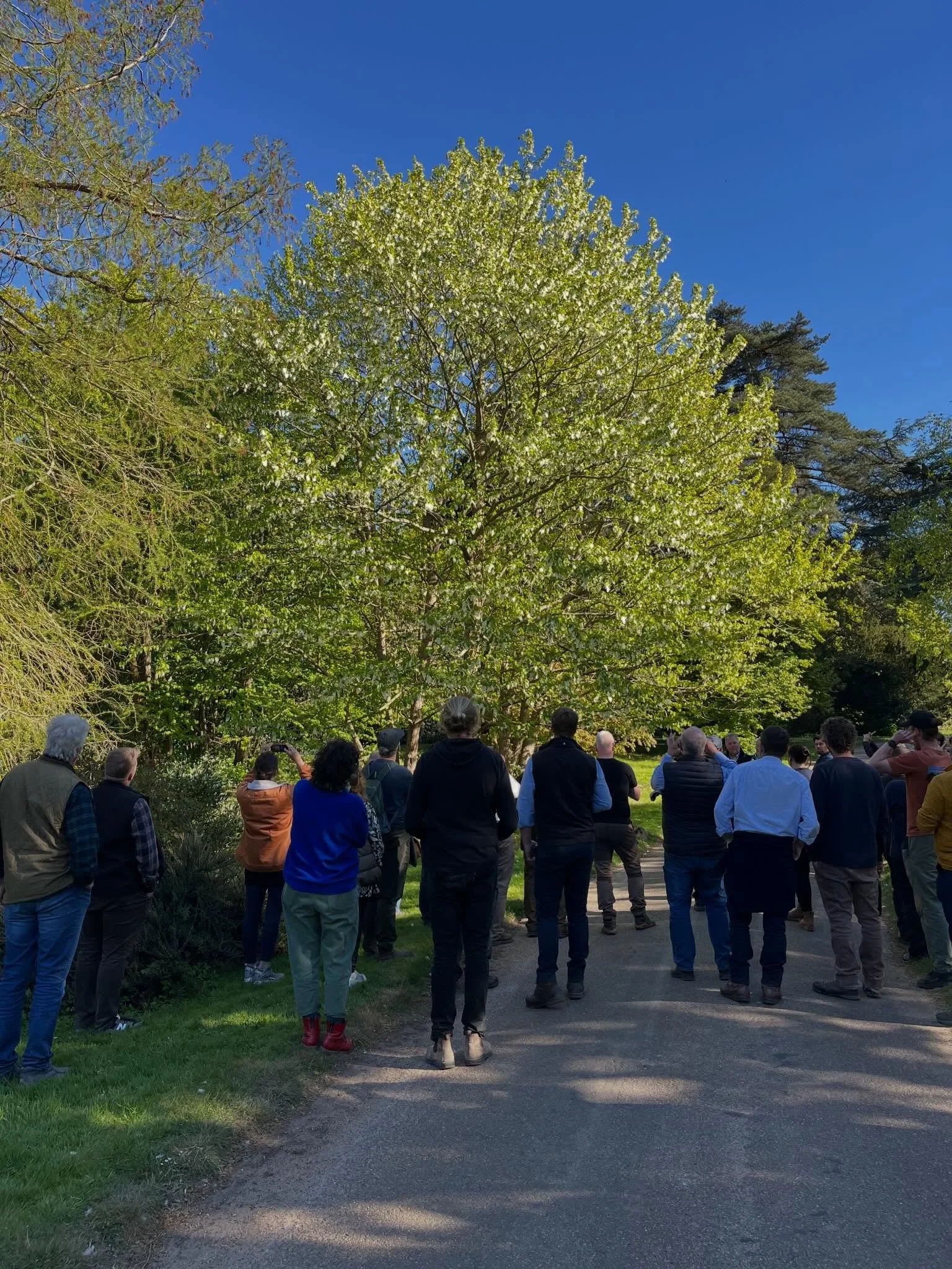 Thank you @barchamtreesplc for a wonderful &lsquo;Trees on Tour&rsquo; day last week learning from tree experts and celebrating trees.

@suetownsendgardendesign kicked off the day with a talk about trees from a Garden Designers perspective.  Then we 