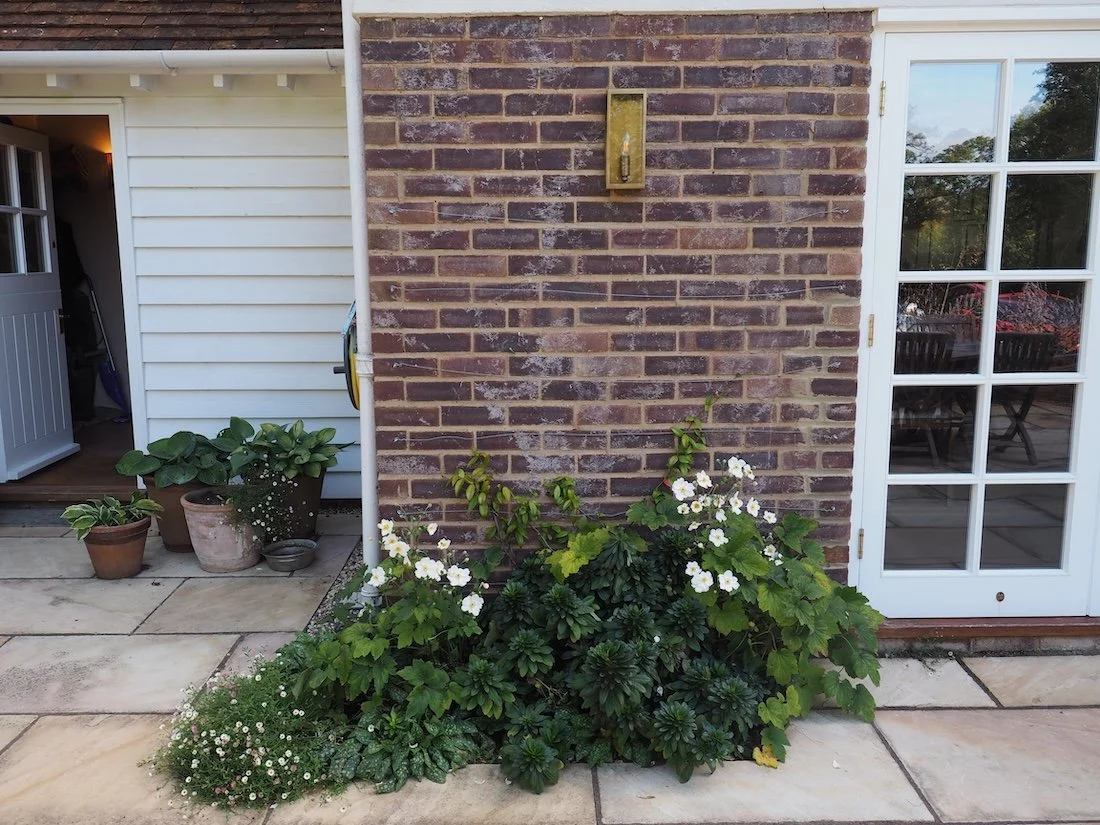 Planting softens the edges of the new patio