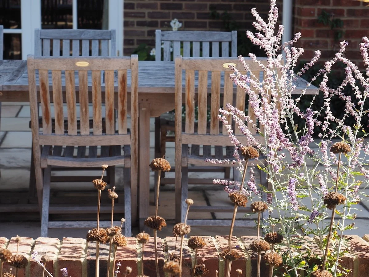Detail of planting softening new patio