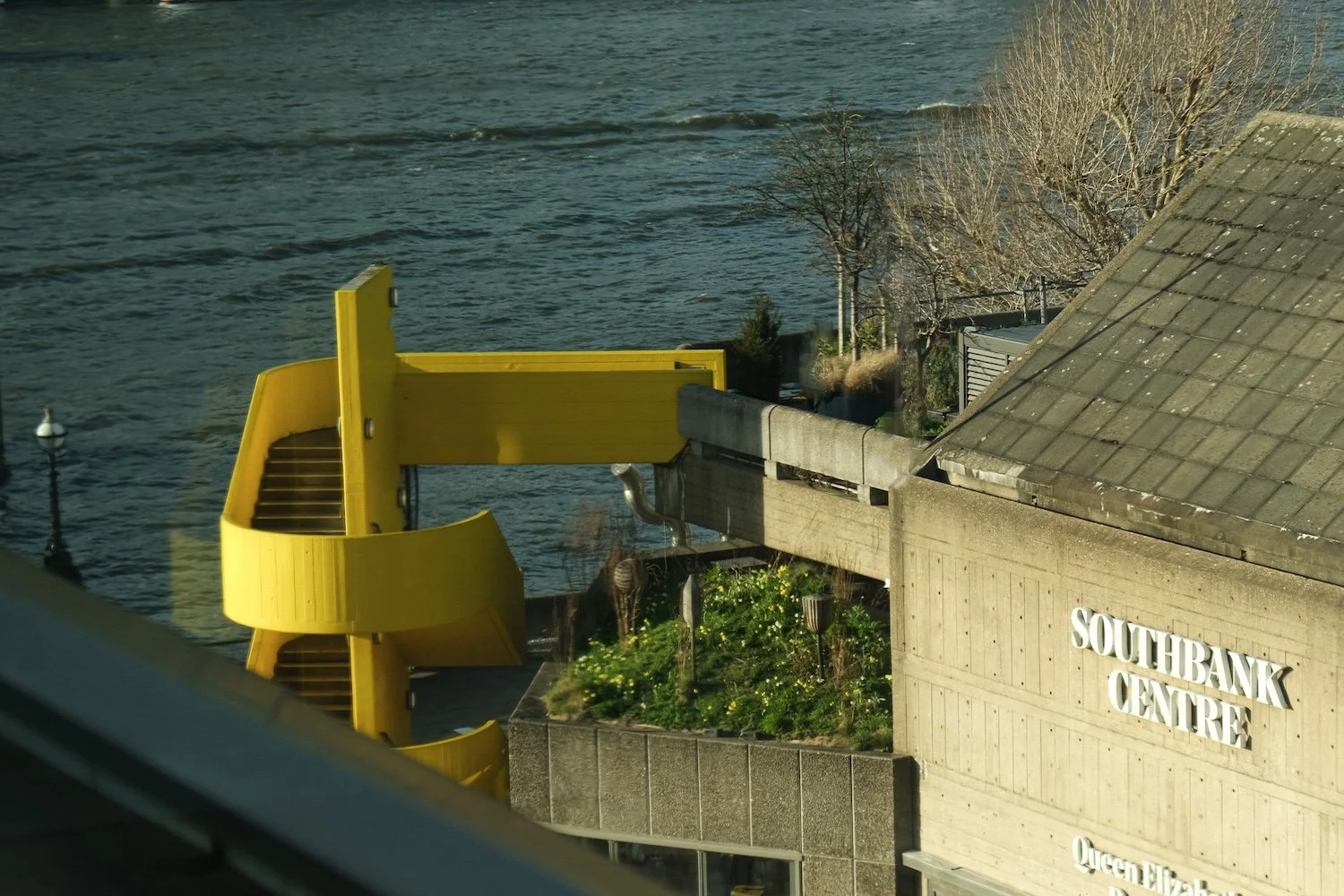 Appropriate planting for a windy site alongside the river Thames