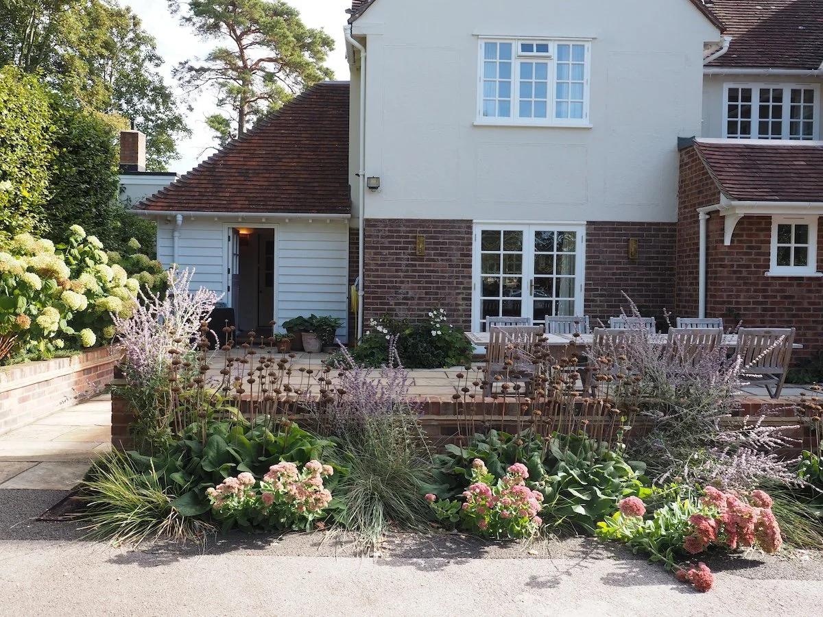Planting design for new patio