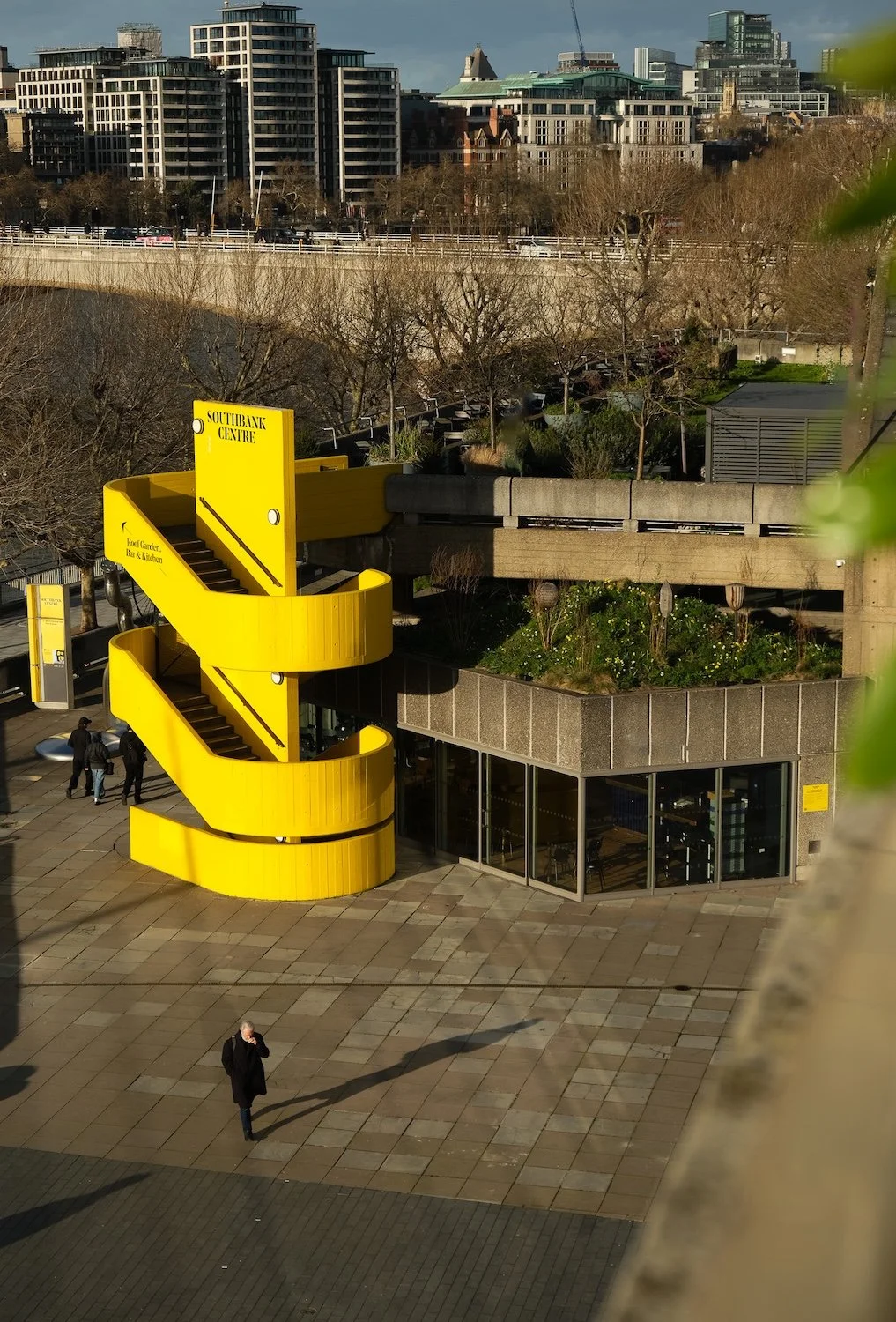 Spring bulbs at Haven; an urban pocket wildflower meadow at Southbank Centre, London