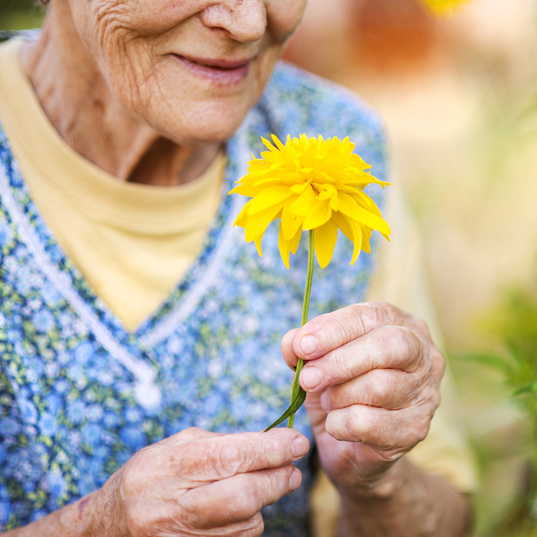 Spring into Better Health with Ruby Slippers Care