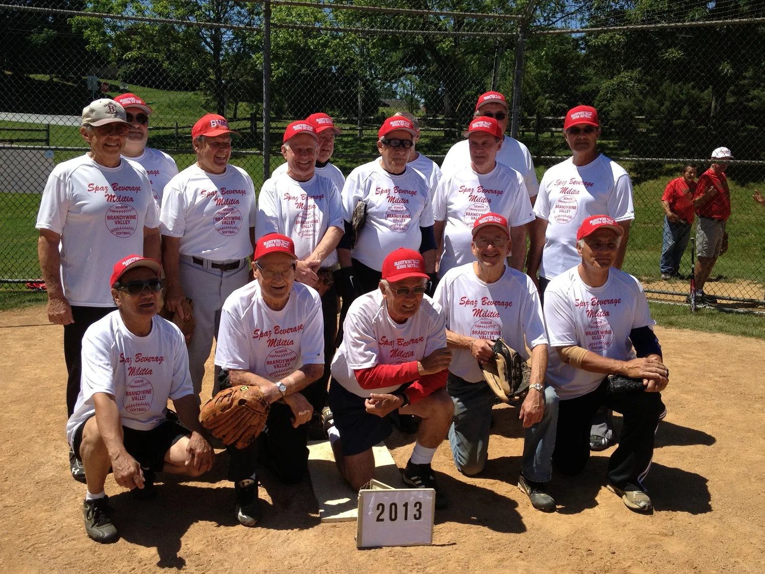 silver-division-schedule-brandywine-valley-senior-softball-association