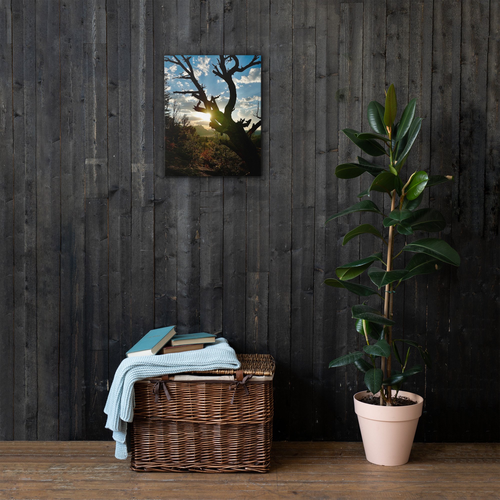 thin-canvas-(in)-16x20-front-63f7bedbdbf45.jpg
