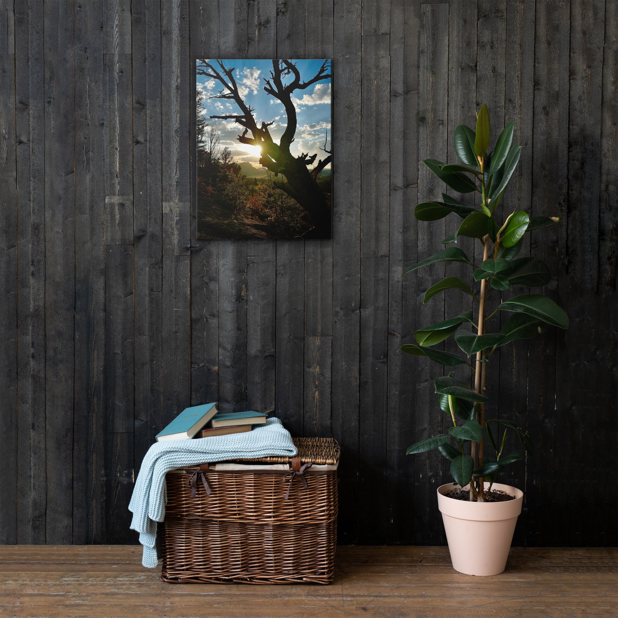 thin-canvas-(in)-18x24-front-63f7bedbdc008.jpg