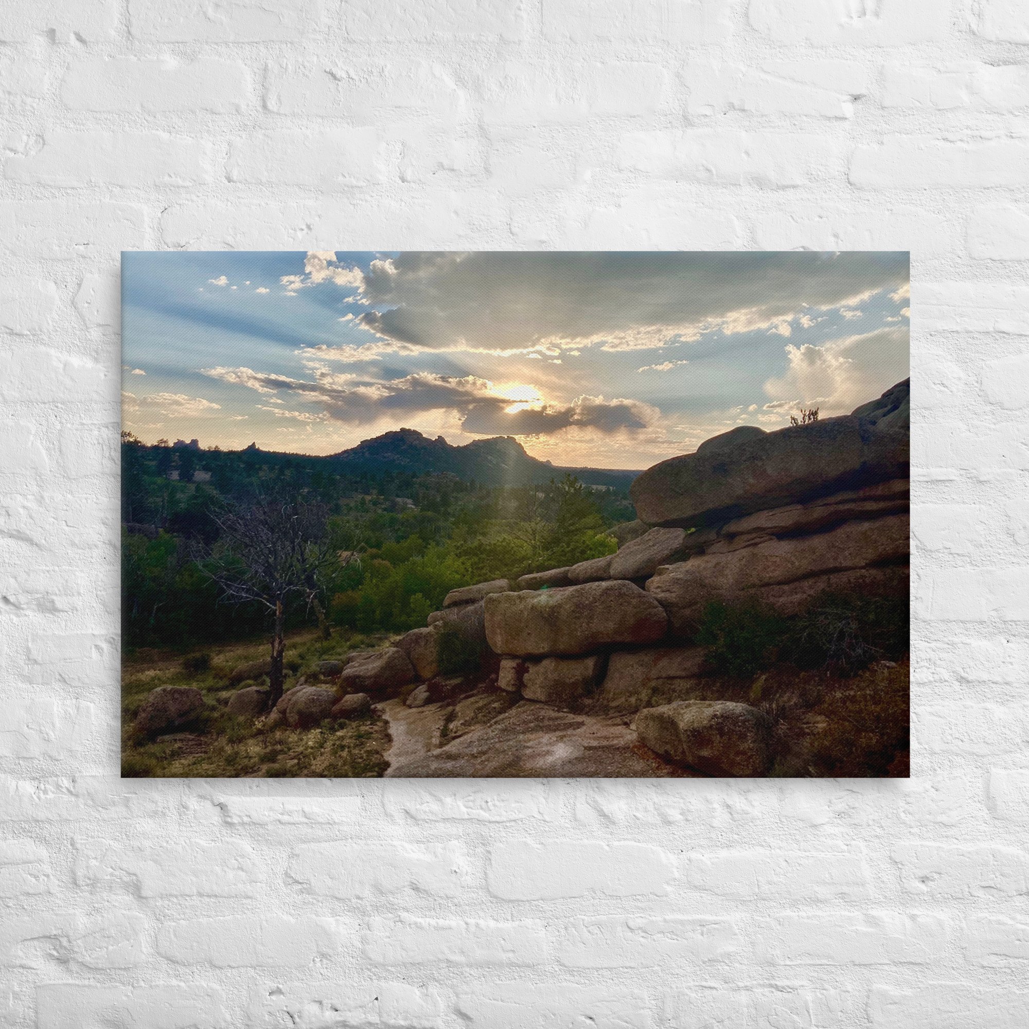 thin-canvas-(in)-24x36-front-63f7c0f8c6687.jpg