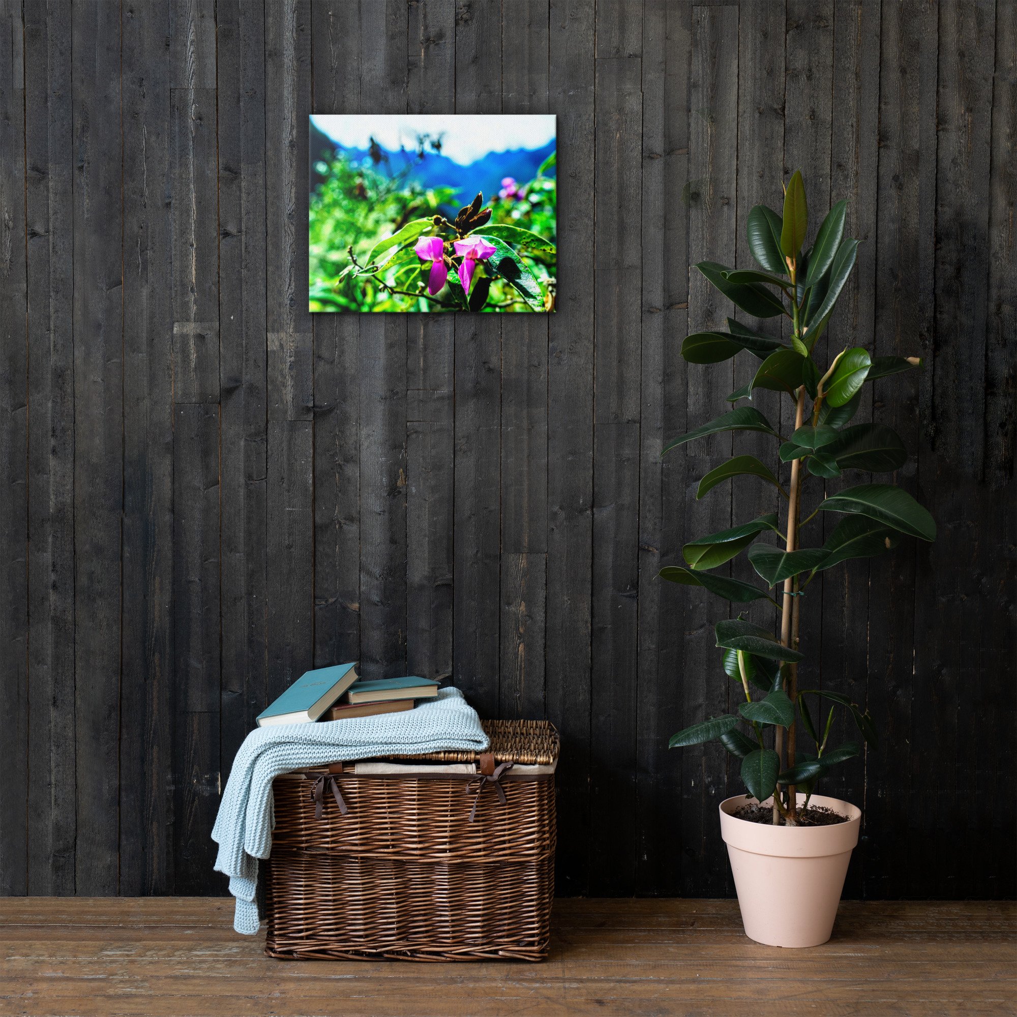 thin-canvas-(in)-16x20-front-63f7c3349dee5.jpg