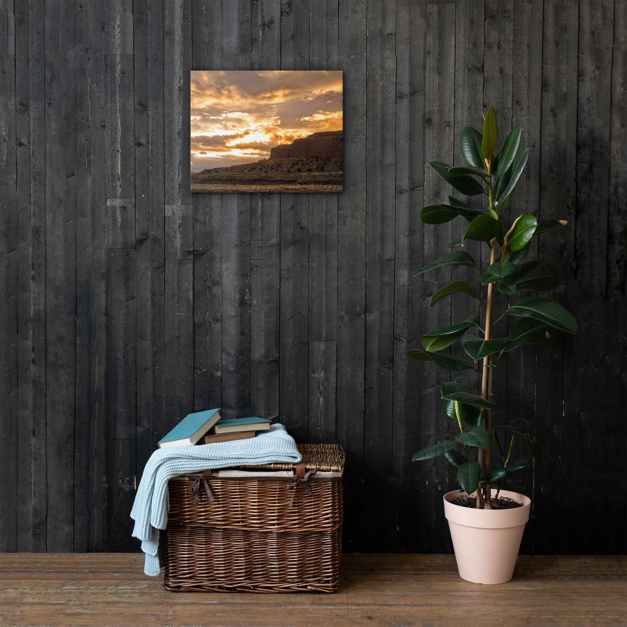 thin-canvas-(in)-16x20-front-63f8d5d3eed82.jpg