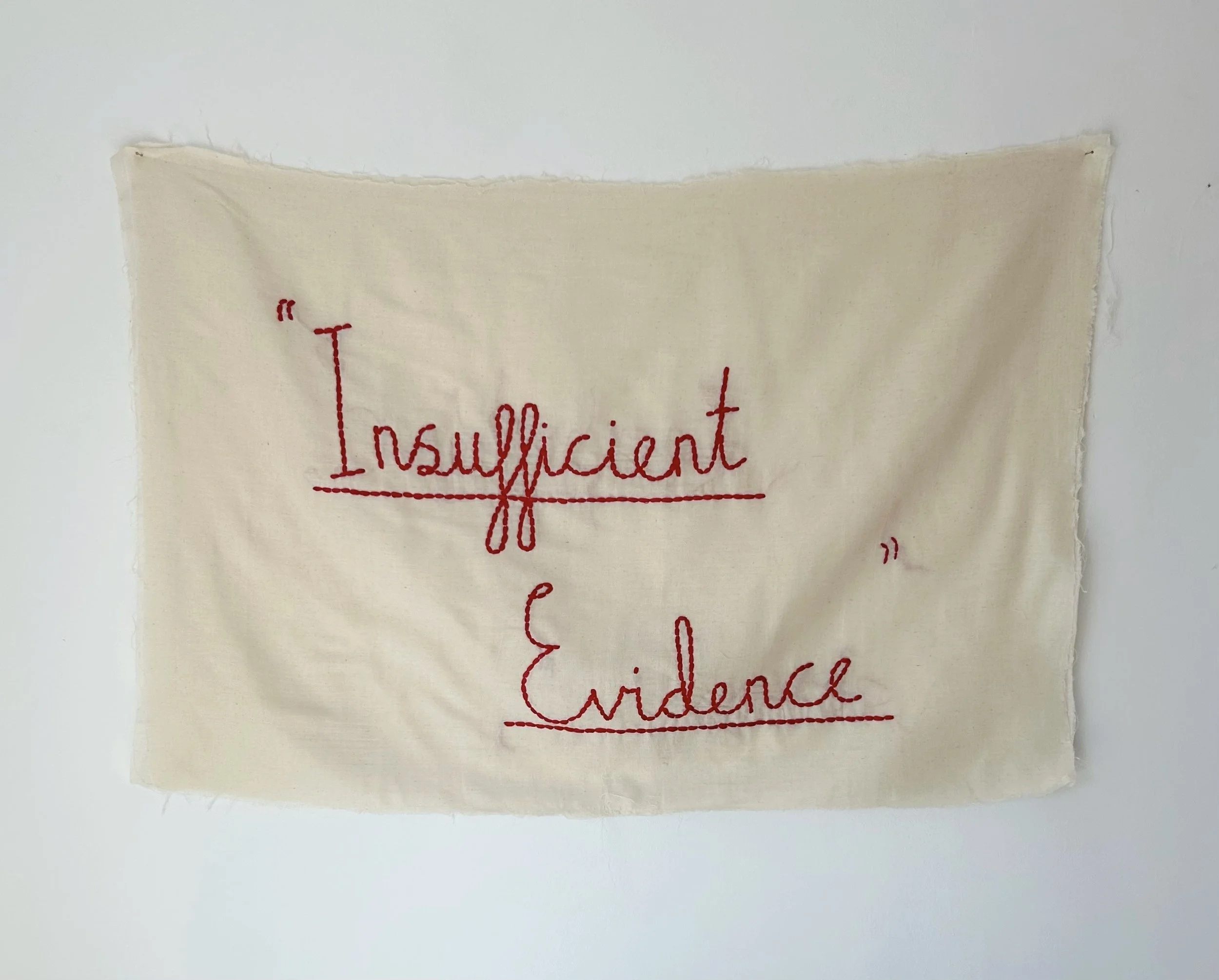 Insufficient Evidence (2026)