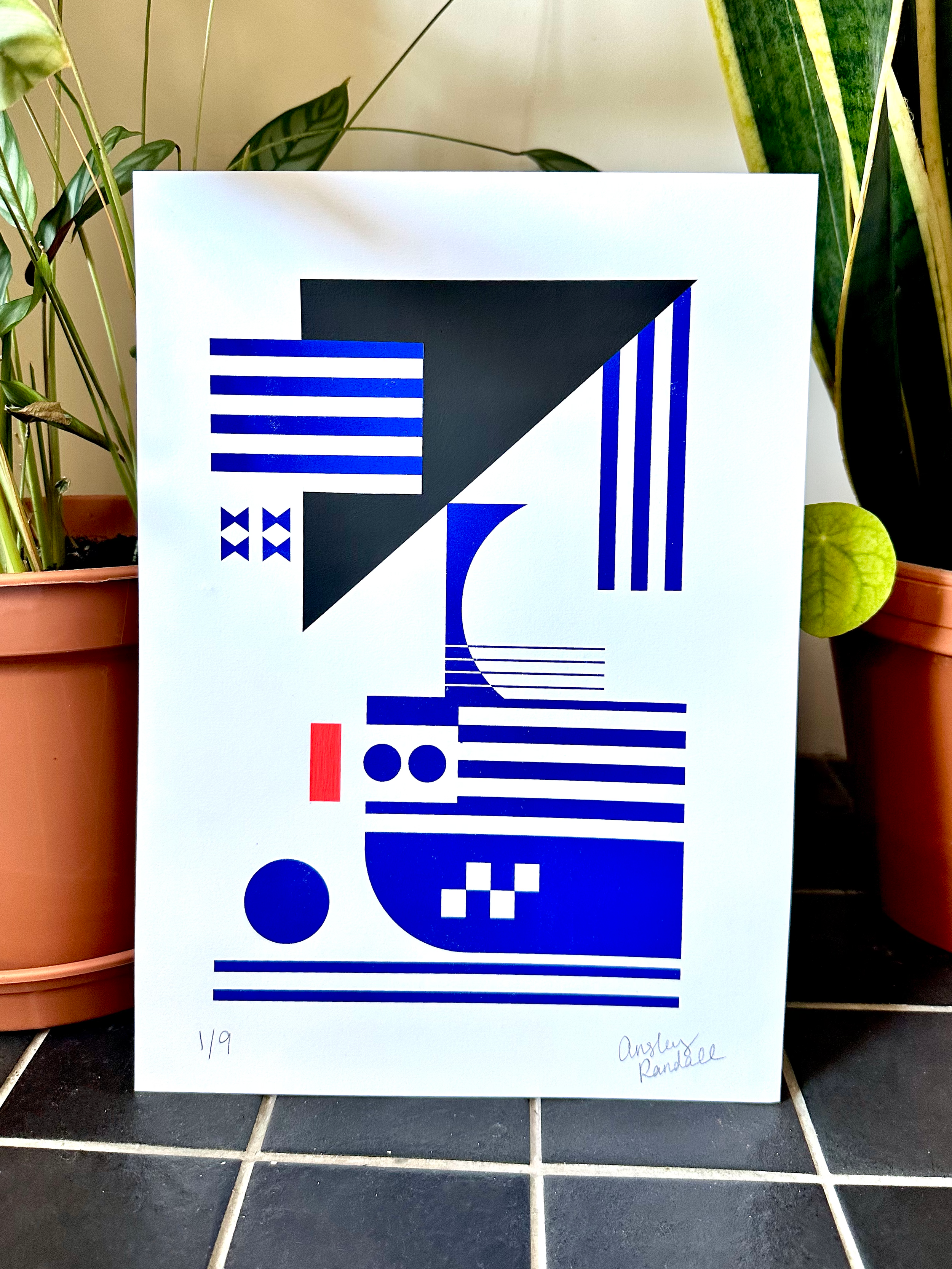 1 - Screen Printed Custom Print