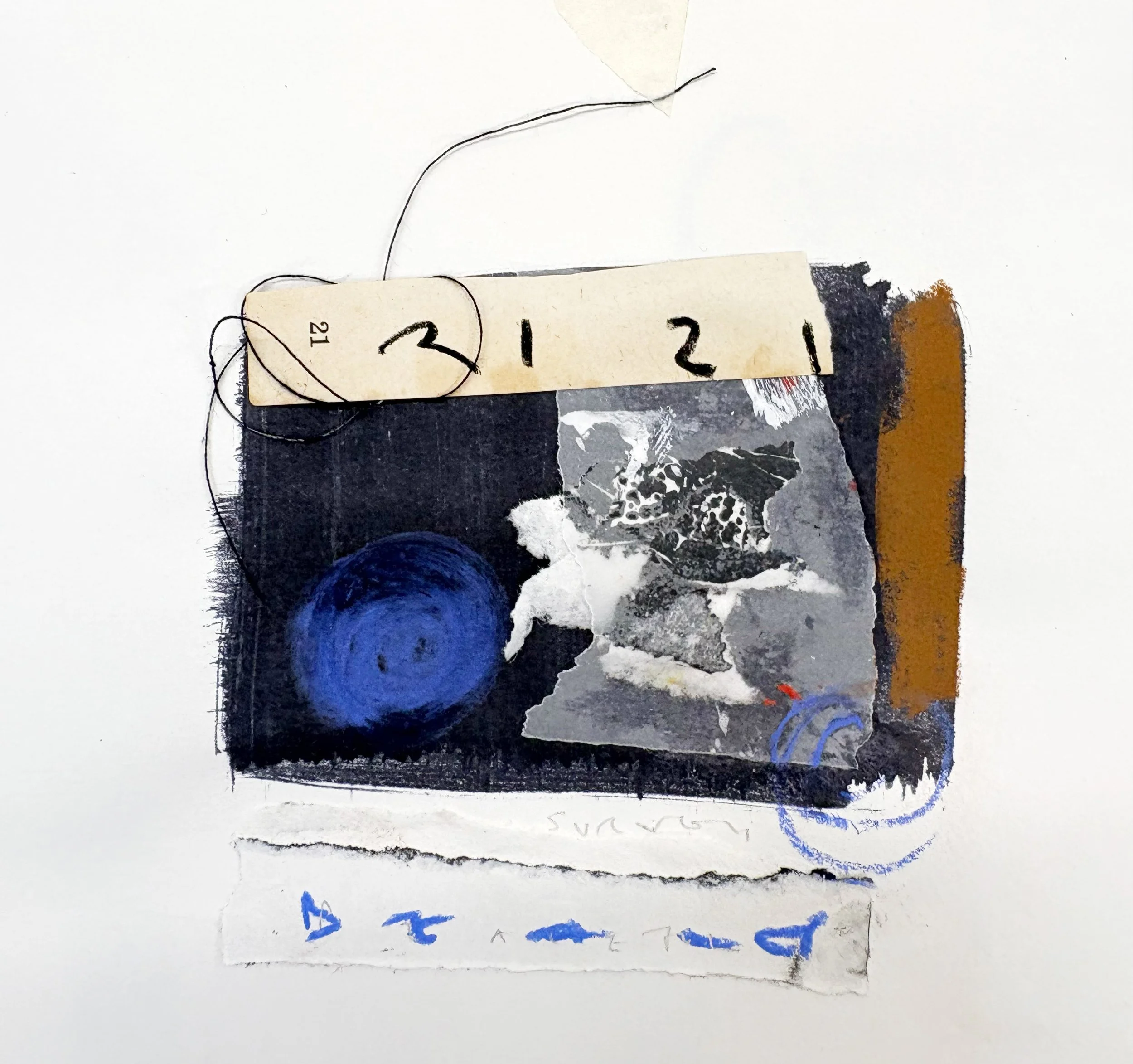 bird, mixed media collage, 2025