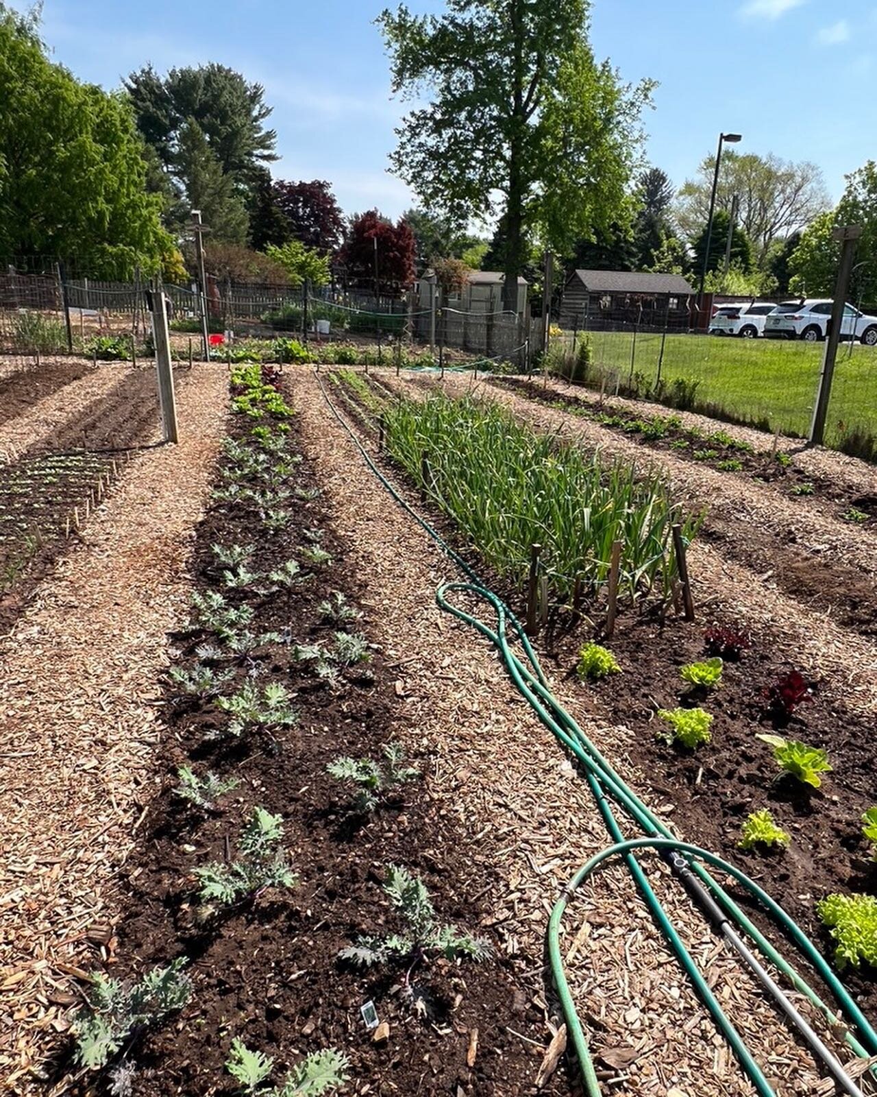 Each Master Gardener class has the privilege of working with Farmer Geoff and Farmer Tom in this beautiful space growing food that is donated to Open Door in Freehold. I've been gardening my whole life and there's always more to learn. @mame5011 for 