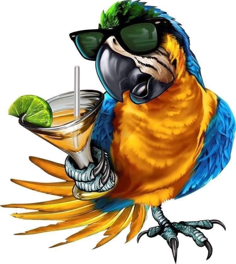 Drinking Parrot Full Color DTF Print
