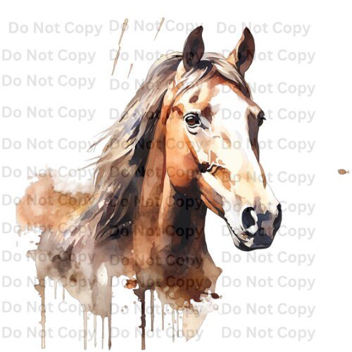 https://i.etsystatic.com/36498084/r/il/5640d1/5007216020/il_fullxfull.5007216020_m2rd.jpg
