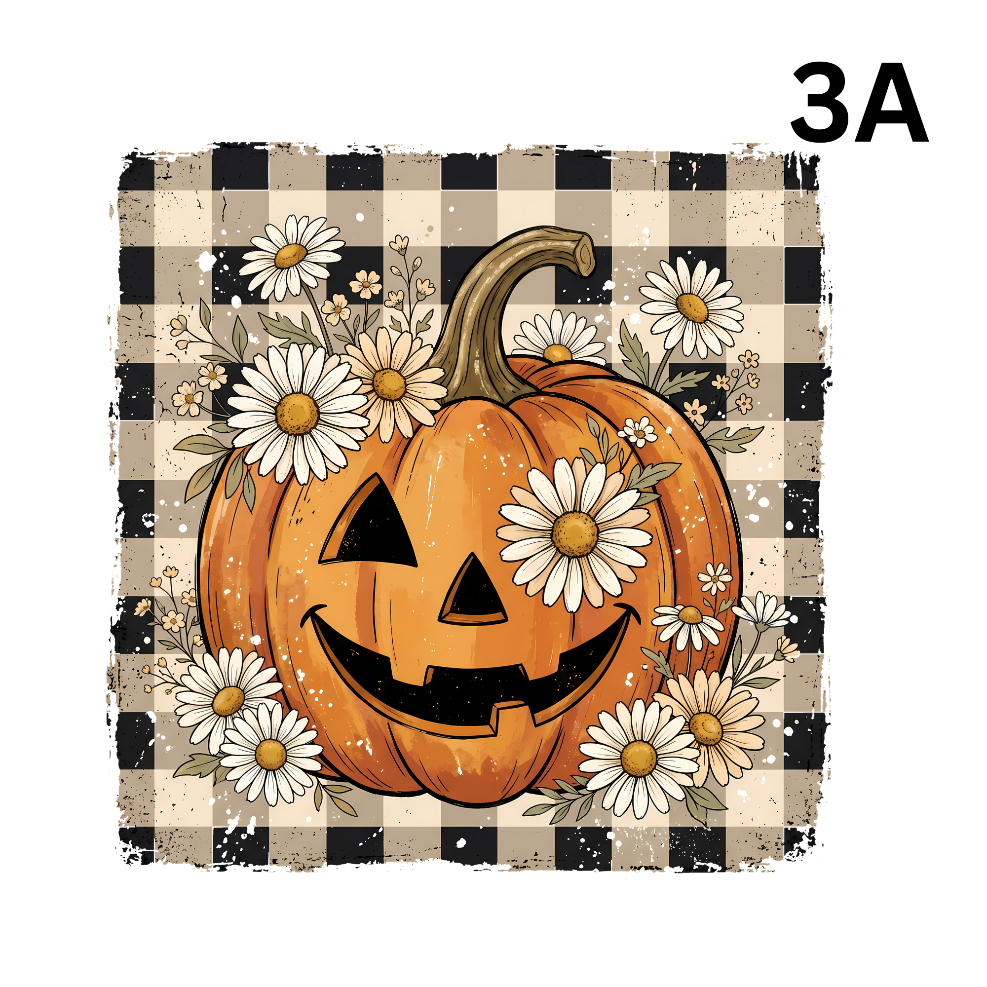Pumpkin, Daisy Check 3a-30.png