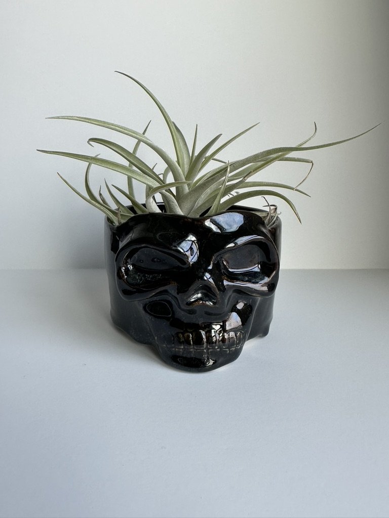 skull planter - black