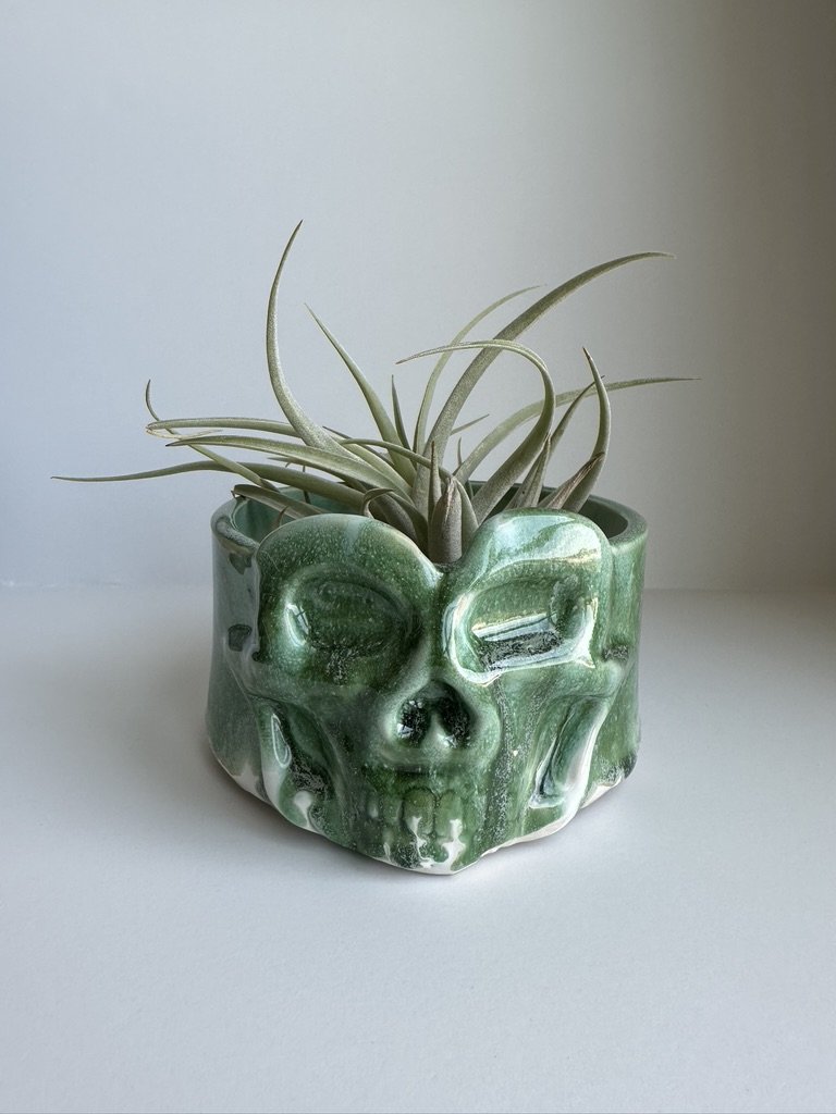 seaweed skull planter - seconds