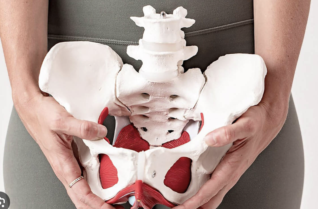 Painful Intercourse &amp; Pelvic Floor Dysfunction: How Pelvic Floor Physiotherapy Can Help